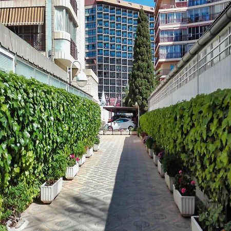 Marques De La Conquista Apartamento Benidorm Exterior foto